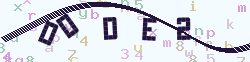 ֤